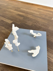 Sculpture project Okinawa #1, 2024